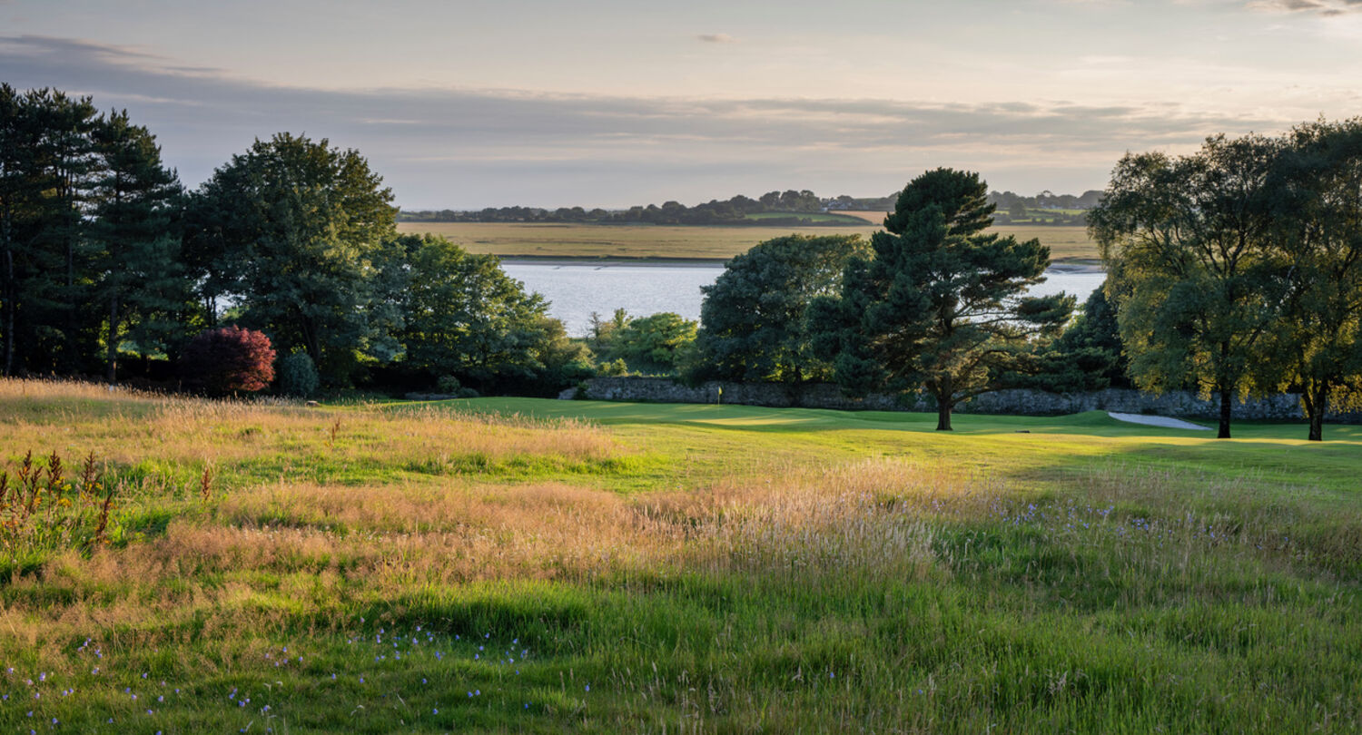 Gorgeous greens and stunning views